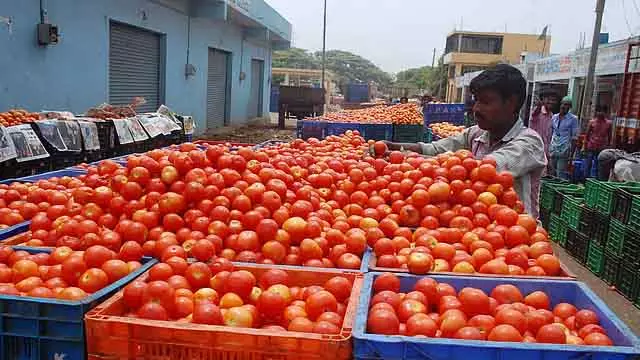 Tamil Nadu : टमाटर और ड्रमस्टिक की कीमतें रॉकेट की स्पीड से बढ़ी हैं और थोड़ी कम भी हुई Tamil Nadu : टमाटर और ड्रमस्टिक की कीमतें रॉकेट की स्पीड से बढ़ी हैं और थोड़ी कम भी हुई