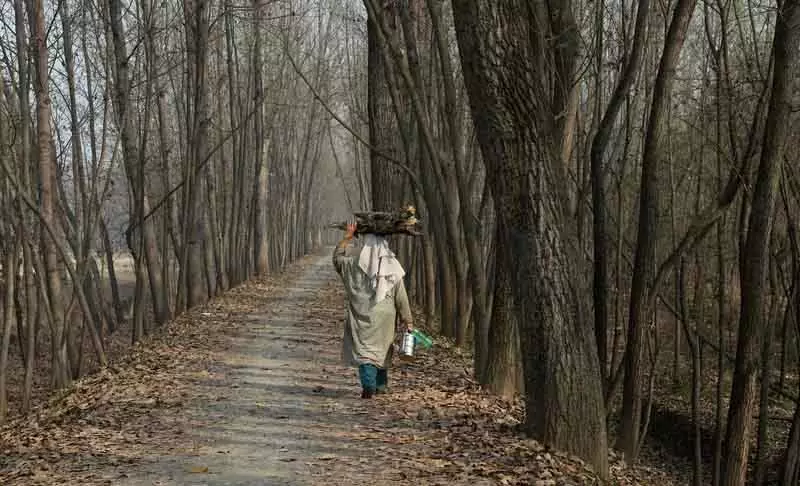 Srinagar में कड़ाके की ठंड जारी; Kashmir में -4.5°C तापमान दर्ज किया गया Srinagar में कड़ाके की ठंड जारी; Kashmir में -4.5°C तापमान दर्ज किया गया
