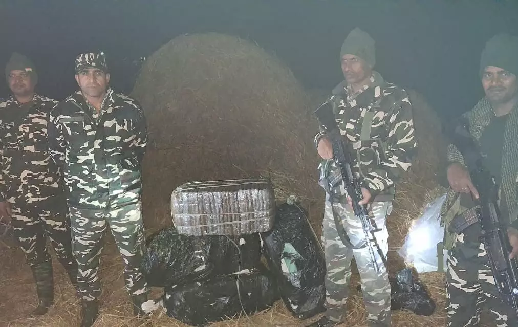 Araria: तस्करों पर शिकंजा, एसएसबी ने पकड़ा 96 किलो गांजा Araria: तस्करों पर शिकंजा, एसएसबी ने पकड़ा 96 किलो गांजा