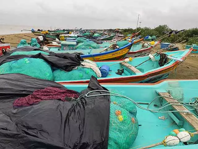 वेदारण्यम में समुद्र में तूफान: तटीय हवाओं के साथ भारी बारिश वेदारण्यम में समुद्र में तूफान: तटीय हवाओं के साथ भारी बारिश