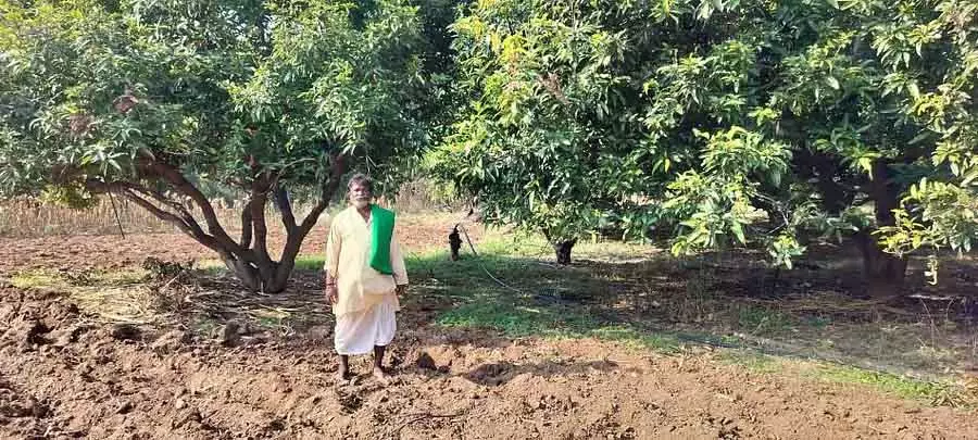 ऑर्गेनिक मिक्स्ड फ़ार्मिंग: किसान असंगेप्पा ने अच्छा मुनाफ़ा कमाया ऑर्गेनिक मिक्स्ड फ़ार्मिंग: किसान असंगेप्पा ने अच्छा मुनाफ़ा कमाया