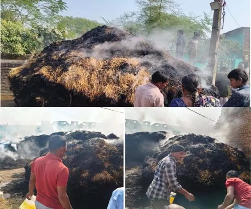 बिजली विभाग की लापरवाही से किसान की 4.5 एकड़ धान जलकर खाक बिजली विभाग की लापरवाही से किसान की 4.5 एकड़ धान जलकर खाक