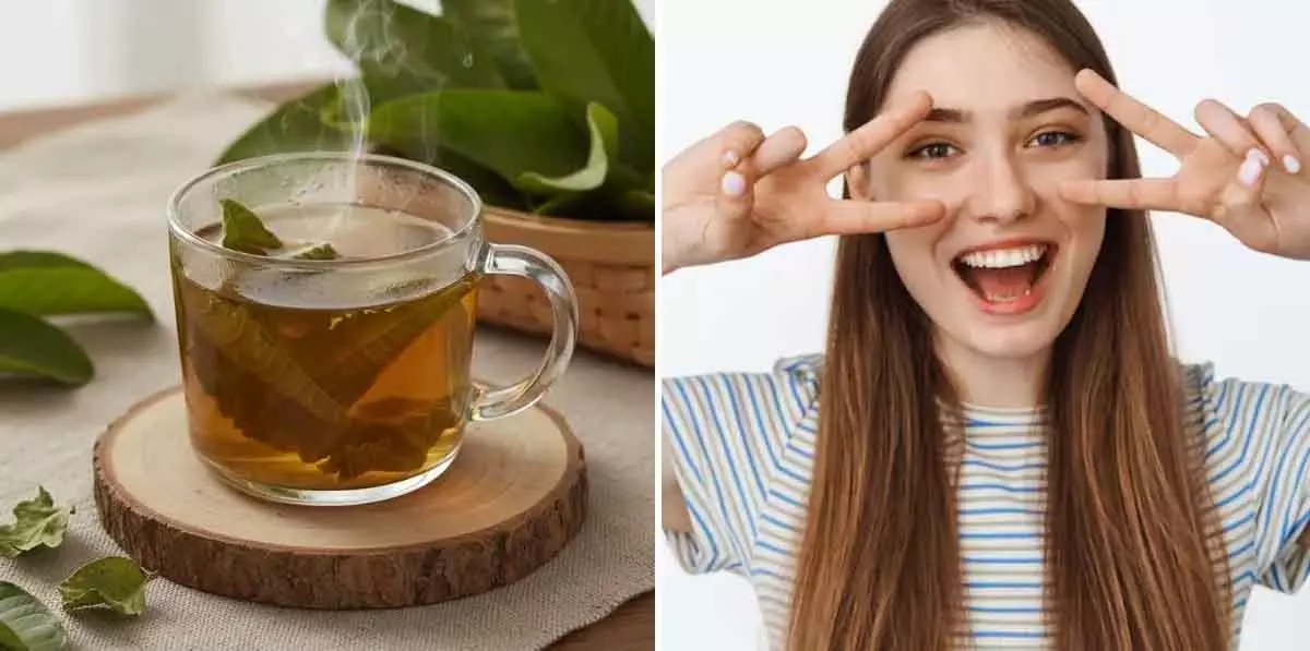 अमरूद की पत्तियों की Herbal चाय से बढ़ाएं आंखों की रोशनी अमरूद की पत्तियों की Herbal चाय से बढ़ाएं आंखों की रोशनी