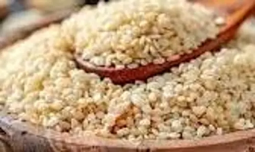 Health: सर्दियों में डाइट प्लान में जरूर शामिल करें ये छोटे बीज, फौलाद सी मजबूत बन जाएंगी हड्डियां Health: सर्दियों में डाइट प्लान में जरूर शामिल करें ये छोटे बीज, फौलाद सी मजबूत बन जाएंगी हड्डियां
