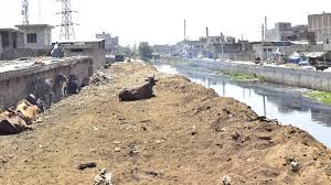 Ludhiana: बुद्ध नाले में कचरा फेंकने पर 15 डेयरी मालिकों पर कार्रवाई