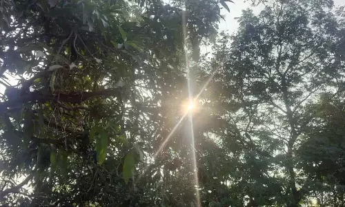 रायपुर में तापमान आज फिर गिरा, कड़ाके की ठंड पड़ रही