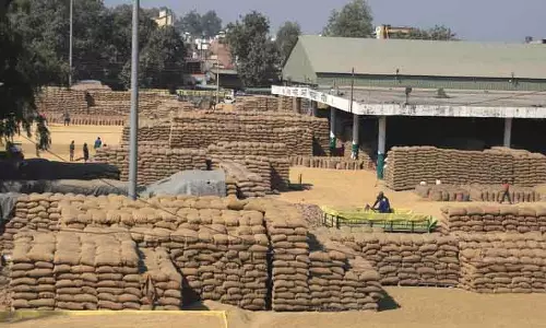 Fatehabad में धान खरीद के बाद स्टॉक का फिजिकल वेरिफिकेशन शुरू