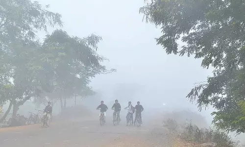 MP : रात में तापमान सिंगल डिजिट तक गिरा; दिन में धूप गर्म रही