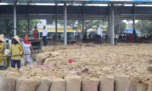Karnal मार्केट कमेटी के सेक्रेटरी और ऑक्शन रिकॉर्डर को अंतरिम ज़मानत Karnal मार्केट कमेटी के सेक्रेटरी और ऑक्शन रिकॉर्डर को अंतरिम ज़मानत