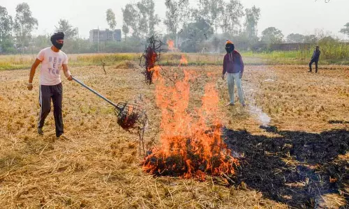 अमृतसर में पराली जलाने की घटनाओं में बड़ी गिरावट दर्ज की गई, AQI सुरक्षित सीमा के भीतर बना हुआ है अमृतसर में पराली जलाने की घटनाओं में बड़ी गिरावट दर्ज की गई, AQI सुरक्षित सीमा के भीतर बना हुआ है