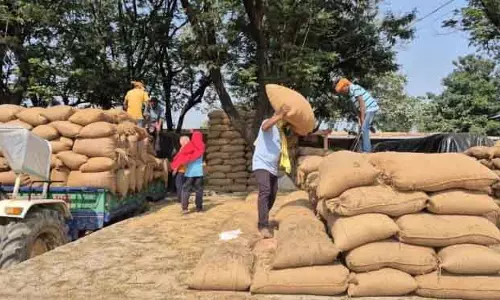 Bargarh मंडियां खुली, खरीद शुरू नहीं