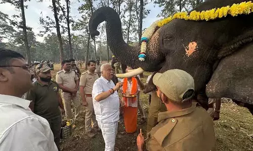 Karwar : पनासोली हाथी कैंप में 2 नर हाथी शामिल किए गए