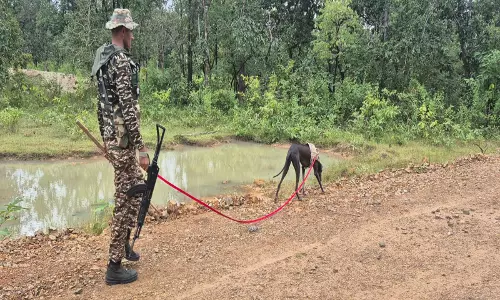 स्पेशल जोनल कमेटी के 12 सदस्य हुए आत्मसमर्पण, Naxalism को बड़ा झटका स्पेशल जोनल कमेटी के 12 सदस्य हुए आत्मसमर्पण, Naxalism को बड़ा झटका