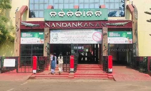 Nandankanan जूलॉजिकल पार्क गुजरात से 19 नए जानवरों का स्वागत करेगा
