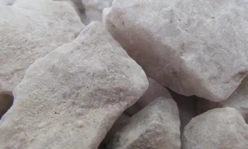Russia ने सुदूर पूर्व में चांदी के दो बड़े भंडार खोजे