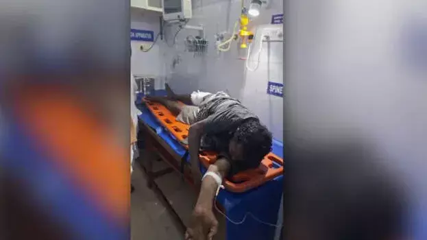 Kerala: हर्बल पौधे इकट्ठा करते समय भालू ने हमला किया; आदिवासी युवक घायल Kerala: हर्बल पौधे इकट्ठा करते समय भालू ने हमला किया; आदिवासी युवक घायल