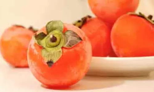 Persimmon: भारत में लोकप्रिय होता जा रहा यह स्वास्थ्यवर्धक फल Persimmon: भारत में लोकप्रिय होता जा रहा यह स्वास्थ्यवर्धक फल