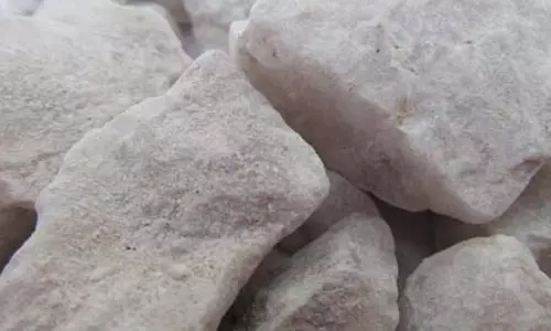 रूस ने सुदूर पूर्व में खोज निकाले चांदी के दो बड़े भंडार