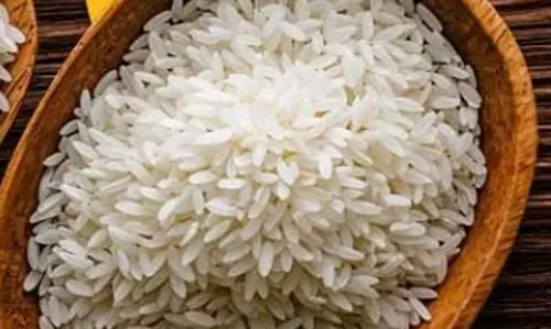 सेहत का खजाना है पुराना चावल, जानें आयुर्वेद क्यों देता है इसके सेवन की सलाह सेहत का खजाना है पुराना चावल, जानें आयुर्वेद क्यों देता है इसके सेवन की सलाह