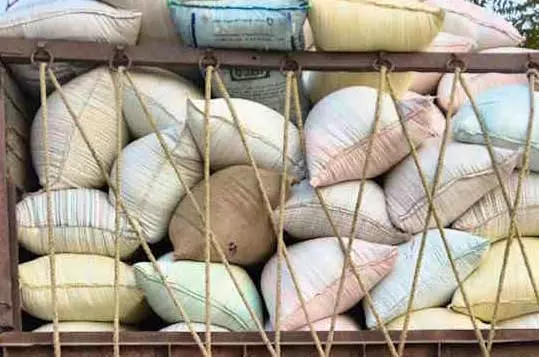 बाड़ी में पुलिस की रेड, 611 कट्टा धान जब्त बाड़ी में पुलिस की रेड, 611 कट्टा धान जब्त
