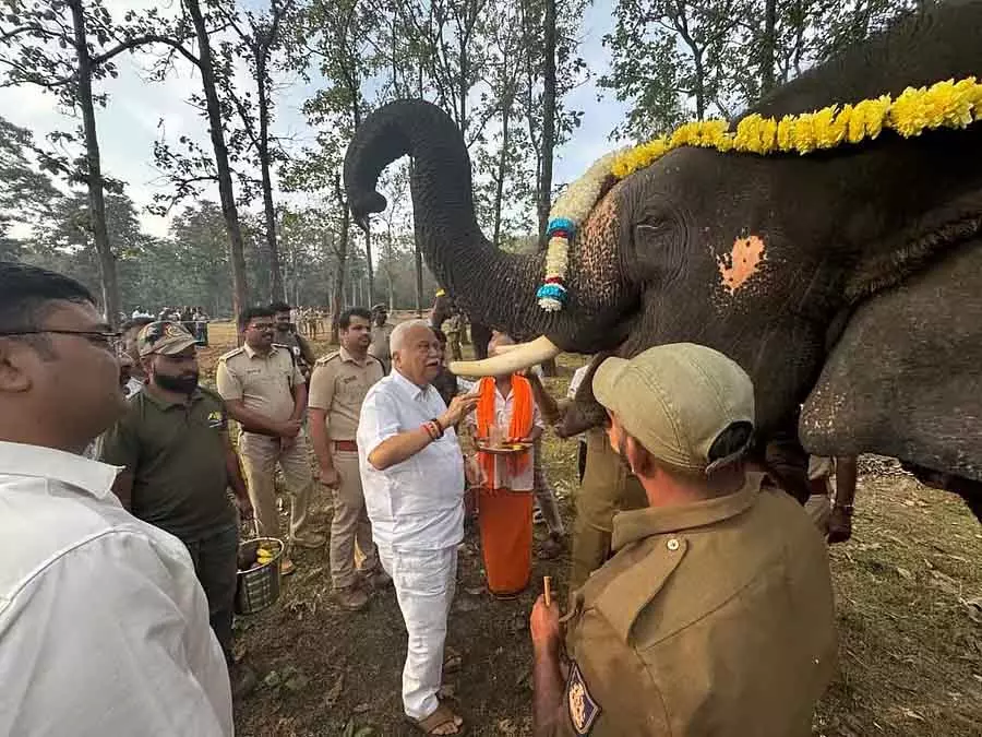 Karwar : पनासोली हाथी कैंप में 2 नर हाथी शामिल किए गए Karwar : पनासोली हाथी कैंप में 2 नर हाथी शामिल किए गए