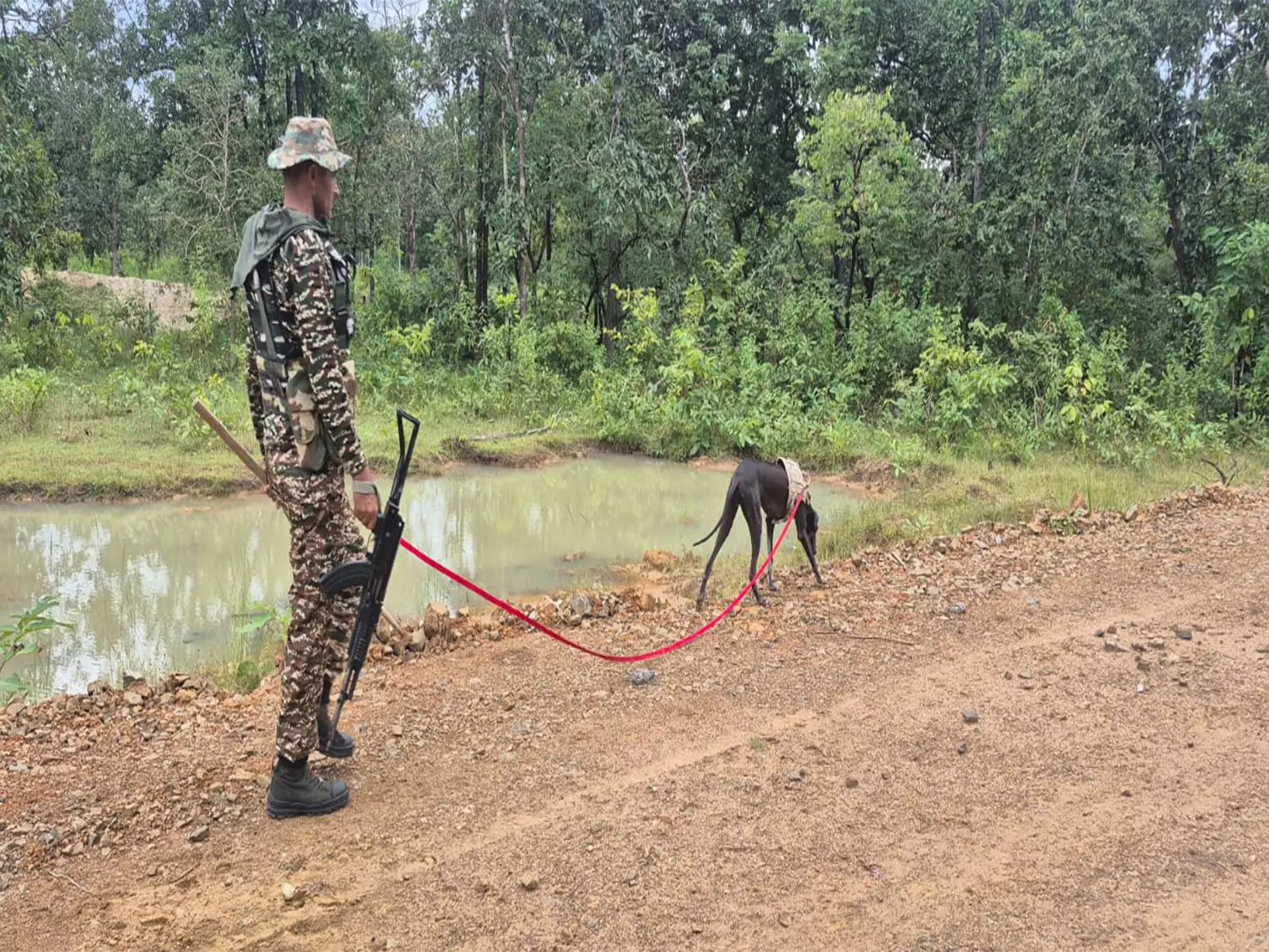 स्पेशल जोनल कमेटी के 12 सदस्य हुए आत्मसमर्पण, Naxalism को बड़ा झटका स्पेशल जोनल कमेटी के 12 सदस्य हुए आत्मसमर्पण, Naxalism को बड़ा झटका