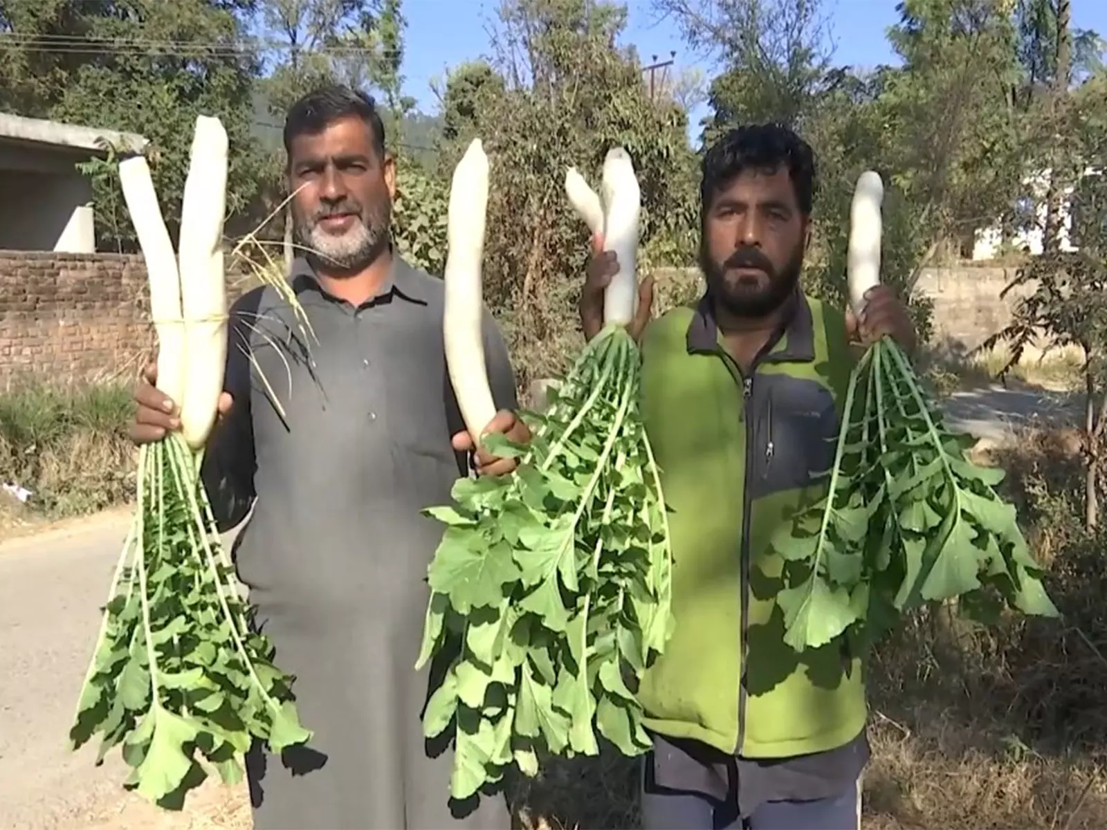राजौरी के मेहरा गांव में 50+ परिवारों ने अपनाई 100% जैविक खेती राजौरी के मेहरा गांव में 50+ परिवारों ने अपनाई 100% जैविक खेती