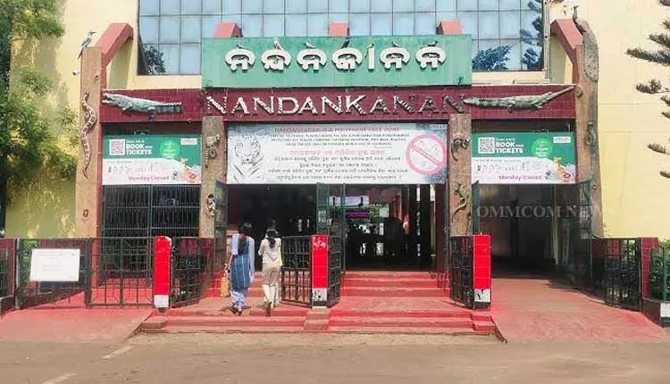 Nandankanan जूलॉजिकल पार्क गुजरात से 19 नए जानवरों का स्वागत करेगा Nandankanan जूलॉजिकल पार्क गुजरात से 19 नए जानवरों का स्वागत करेगा