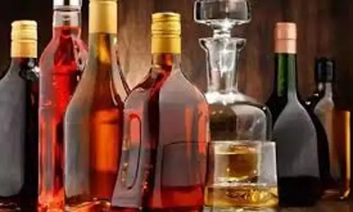 Muzaffarpur:  ओवरब्रिज से 30 लाख की विदेशी शराब बरामद, ट्रक जब्त