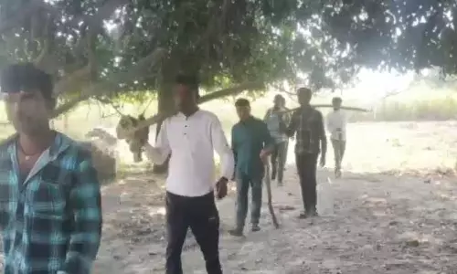 भेड़िया का आतंक, बच्ची को बनाया निवाला, मां सदमे में भेड़िया का आतंक, बच्ची को बनाया निवाला, मां सदमे में