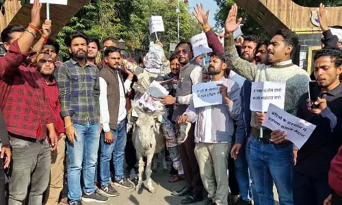 IAS अधिकारी के पुतले को गधे पर रखकर बरकतउल्ला यूनिवर्सिटी के बाहर घुमाया गया