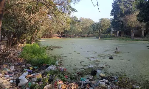 रेलवे एस्टेट में खाली प्लॉट पर जमा पानी से Amritsar के लोग परेशान