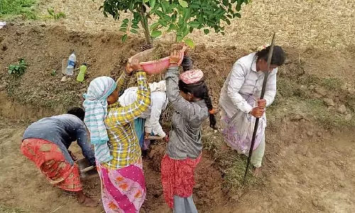 Karnataka : जल संसाधनों के संरक्षण के लिए महिलाओं का काम