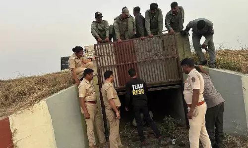 Pune : तेंदुआ-इंसान संघर्ष से निपटने के लिए वन अधिकार क्षेत्रों का पुनर्गठन