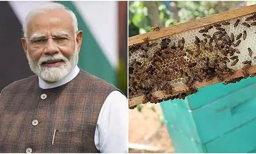 दक्षिण कन्नड़ जिले के पुत्तूर और तुमकुर का शहद लाजवाब है, किसानों के लिए आमदनी का ज़रिया है: PM Modi