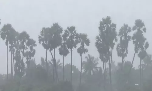 Cyclone Ditwa: तमिलनाडु और पुडुचेरी में अगले 3 घंटे के लिए येलो अलर्ट