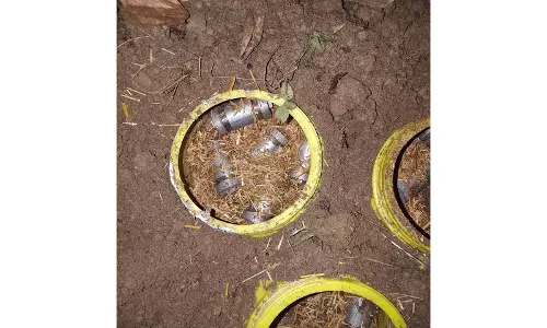 पश्चिम बंगाल: Murshidabad में 60-70 सॉकेट बम बरामद, सीआईडी ​​टीम मौके पर
