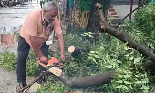 Cyclone Titva : चेन्नई कॉर्पोरेशन के एहतियाती उपाय
