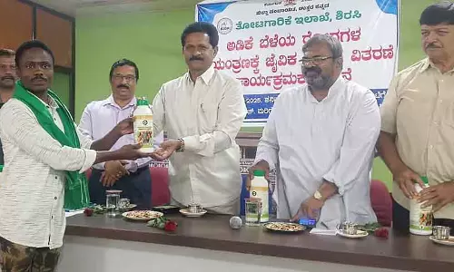 सुपारी के पत्ते एक समस्या हैं; इस पर फिर से रिसर्च की ज़रूरत है: MLA भीमन्ना नायक सुपारी के पत्ते एक समस्या हैं; इस पर फिर से रिसर्च की ज़रूरत है: MLA भीमन्ना नायक