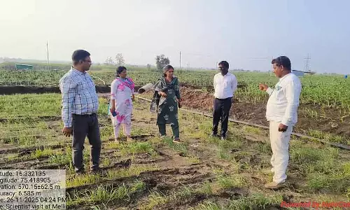 कृषि अधिकारियों ने किसानों के खेतों का दौरा किया; फसलों का निरीक्षण किया कृषि अधिकारियों ने किसानों के खेतों का दौरा किया; फसलों का निरीक्षण किया