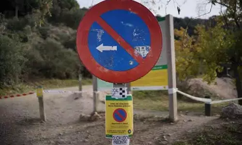 Spain  में अफ्रीकन स्वाइन फीवर का खतरा बढ़ा, पोर्क एक्सपोर्ट पर संकट