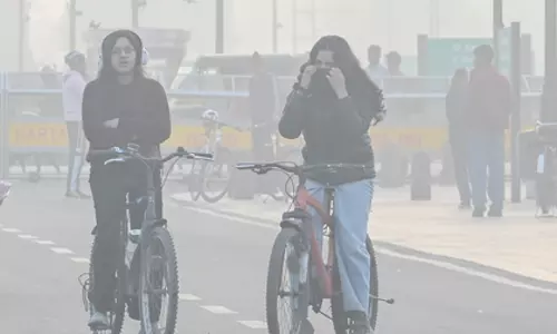 CAQM ने दिल्ली में इंस्पेक्शन ड्राइव चलाया, सड़कों पर ज़्यादा धूल देखी CAQM ने दिल्ली में इंस्पेक्शन ड्राइव चलाया, सड़कों पर ज़्यादा धूल देखी
