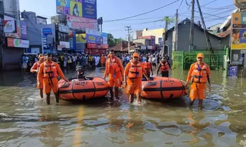 तमिलनाडु भाजपा अध्यक्ष नैनार नागेंद्रन ने कोलंबो एयरपोर्ट पर फंसे भारतीयों के लिए विदेश मंत्री से मांगी मदद