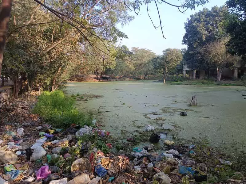 रेलवे एस्टेट में खाली प्लॉट पर जमा पानी से Amritsar के लोग परेशान रेलवे एस्टेट में खाली प्लॉट पर जमा पानी से Amritsar के लोग परेशान