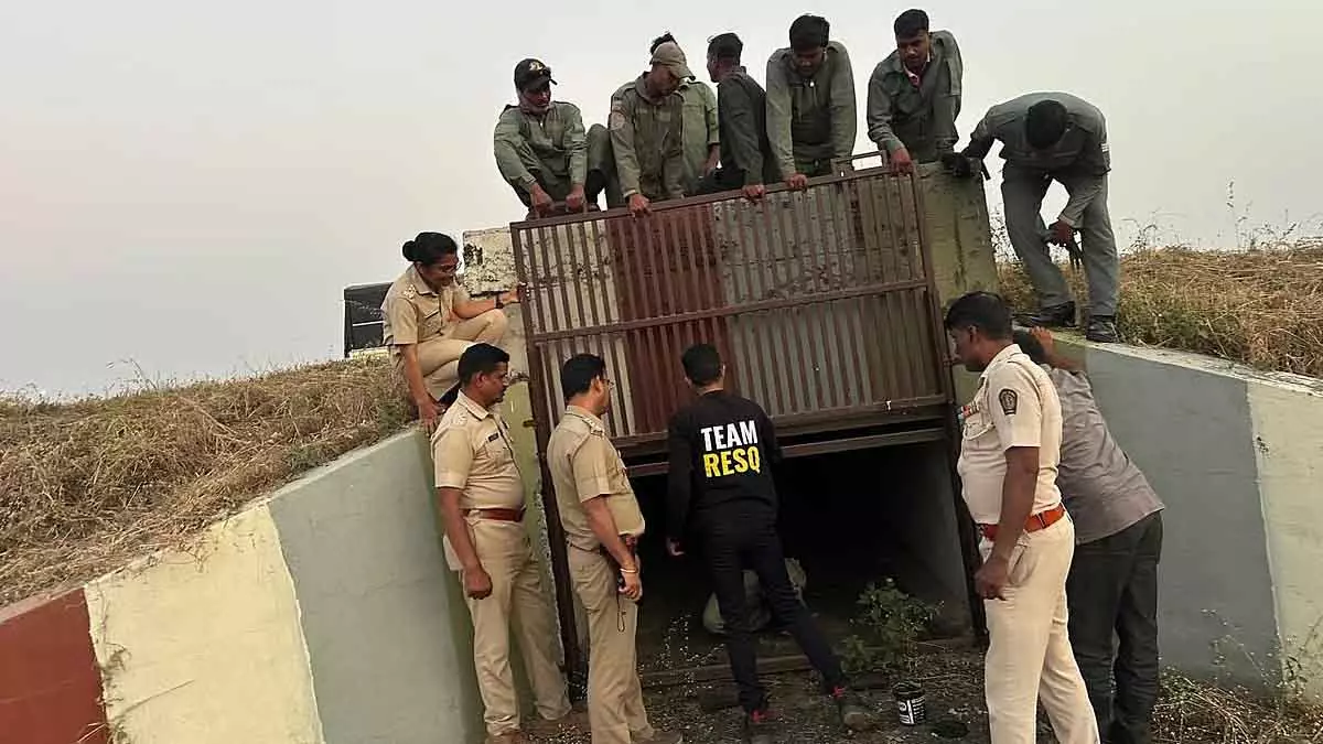 Pune : तेंदुआ-इंसान संघर्ष से निपटने के लिए वन अधिकार क्षेत्रों का पुनर्गठन Pune : तेंदुआ-इंसान संघर्ष से निपटने के लिए वन अधिकार क्षेत्रों का पुनर्गठन