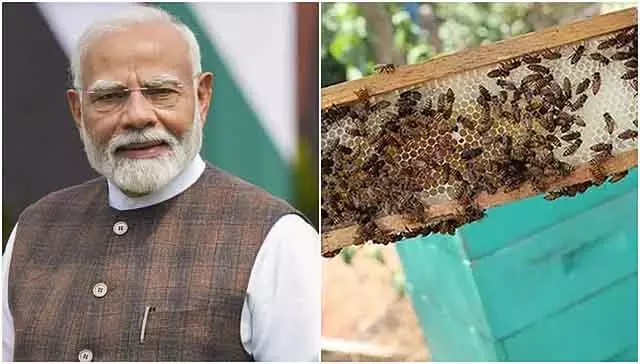 दक्षिण कन्नड़ जिले के पुत्तूर और तुमकुर का शहद लाजवाब है, किसानों के लिए आमदनी का ज़रिया है: PM Modi दक्षिण कन्नड़ जिले के पुत्तूर और तुमकुर का शहद लाजवाब है, किसानों के लिए आमदनी का ज़रिया है: PM Modi