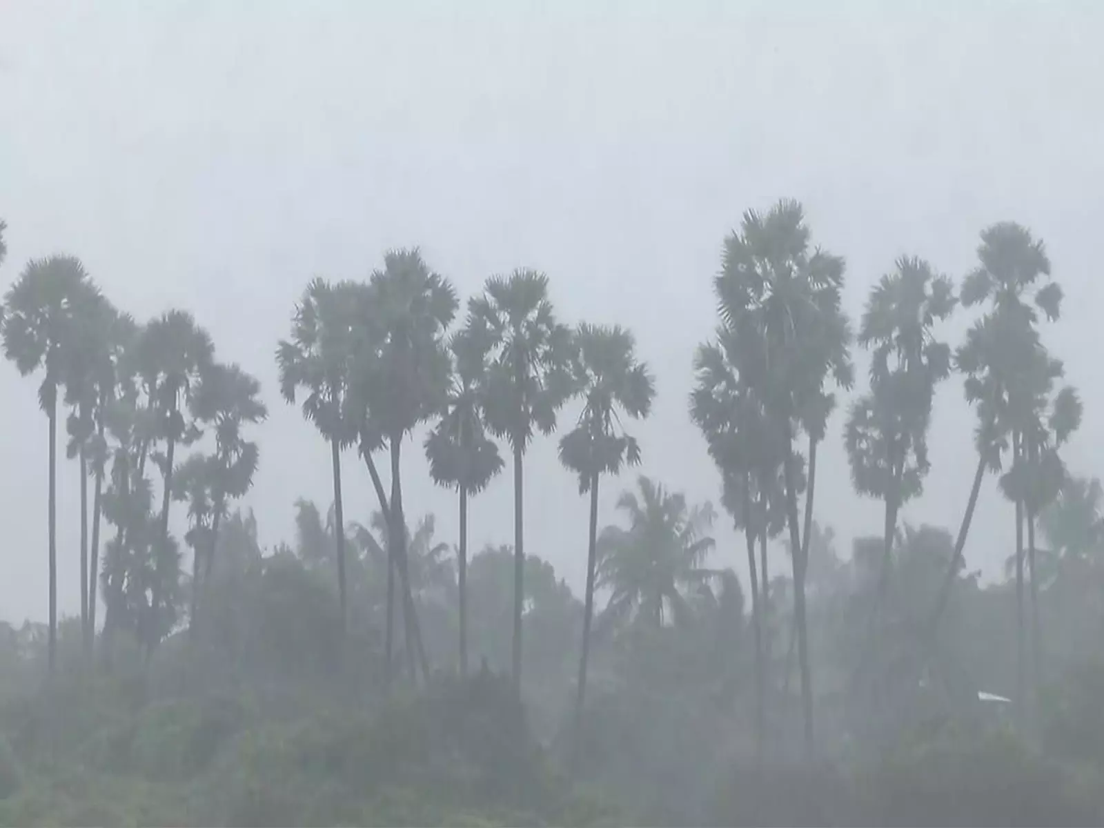 Cyclone Ditwa: तमिलनाडु और पुडुचेरी में अगले 3 घंटे के लिए येलो अलर्ट Cyclone Ditwa: तमिलनाडु और पुडुचेरी में अगले 3 घंटे के लिए येलो अलर्ट