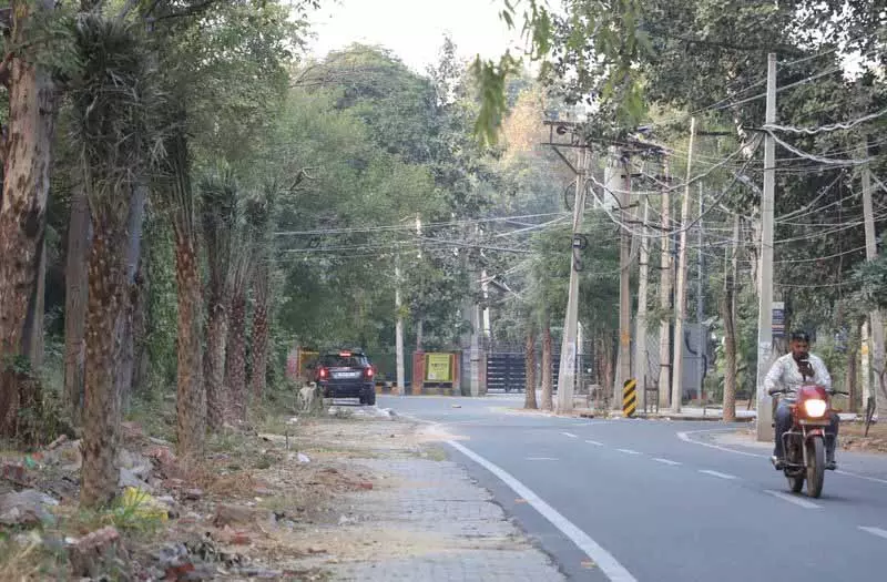 Jalandhar: नागरिक समस्याओं के बीच दुबई से प्रेरित सौंदर्यीकरण विपक्ष को नाराज़ कर रहा है Jalandhar: नागरिक समस्याओं के बीच दुबई से प्रेरित सौंदर्यीकरण विपक्ष को नाराज़ कर रहा है
