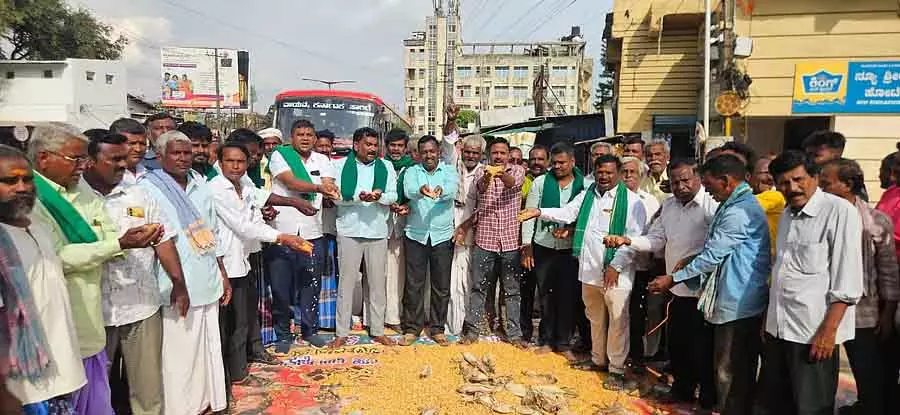 कीमत में गिरावट: सड़क पर मक्का गिरने से किसान नाराज़ कीमत में गिरावट: सड़क पर मक्का गिरने से किसान नाराज़