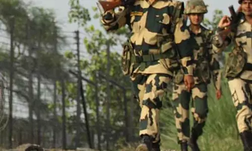 BSF ने हथियार तस्करी को किया नाकाम, 200 से ज्यादा हथियार बरामद